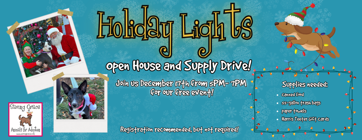 Holiday Lights Open House & Supply Drive